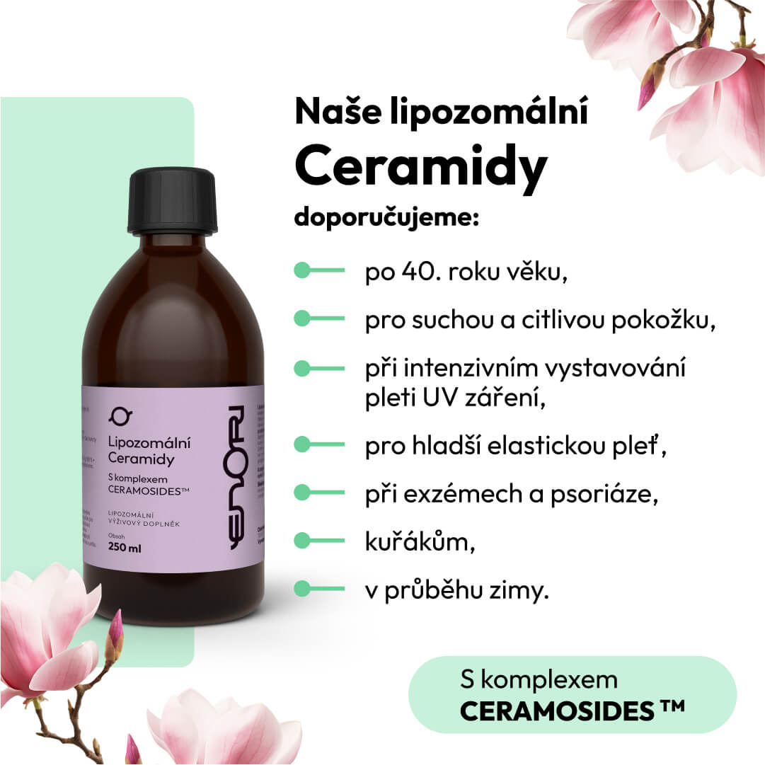 Ceramidy